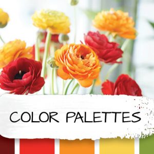 Color Palettes